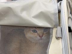 -谐和益家动物医院·免疫绝育·血液透析·宠保定点医院(高新伊藤分院)