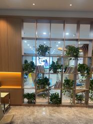 -碧莲盛·不剃发植发