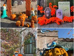 -大连海昌发现王国主题公园