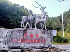 -长沙黑麋峰国家森林公园