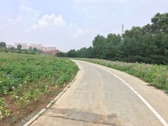 -长春世界雕塑园冰雪艺术天地