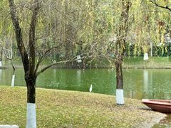 -沐仙湖湿地公园