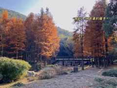 -宝界山林公园