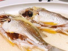 -花城苑广府菜(侨鑫店)