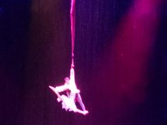 -水秀国际大剧院