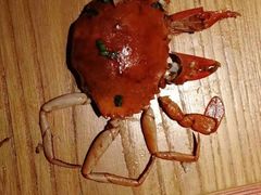 -多嘴肉蟹煲(万达店)