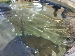 -鸿通城购物中心