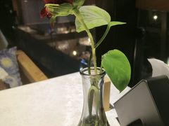 -忆咖啡观景餐厅(桂林象山公园店)