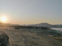 -北岐滩涂