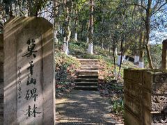 -莫干山风景区
