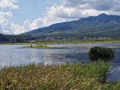 -腾冲北海湿地
