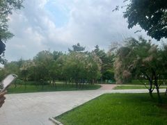 -南戴河国际娱乐中心