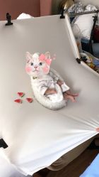 -西瓜庄园儿童摄影