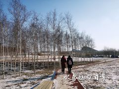 -哈尔滨大剧院
