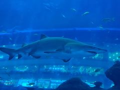 -成都浩海立方海洋公园