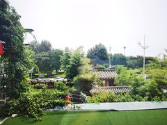 -慢丽江·云南野生菌土鸡锅(付家庄店)