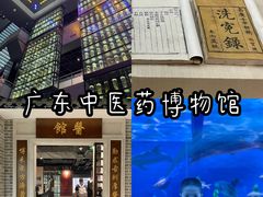 -广东中医药博物馆