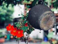 景观位-青城甲(青城山店)