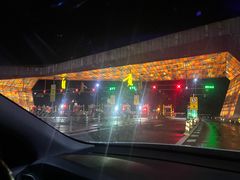 -食神又名厕所兔