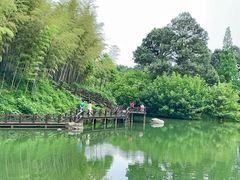 -宝岩生态观光园