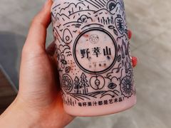 -野萃山·潮汕厚果汁(十亩地店)