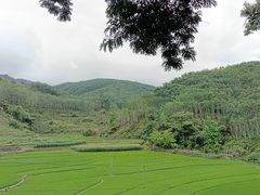-西双版纳基诺山寨