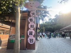 -野象谷景区