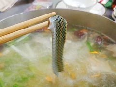 -金龙·打边炉(武进路店)
