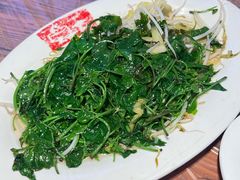 -皮蛋弟砂锅店(总店)