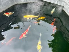 -西安市广仁寺