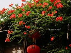-山塘街