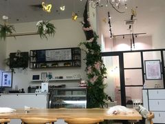 大堂-酷豆宠物咖啡·宠物美食·撸猫馆