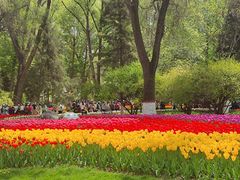 -西宁市人民公园(城西区)