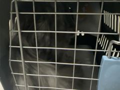-半岛宠物医院24小时(白果林店)