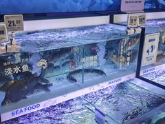 -物美大卖场(玉蜓桥店)