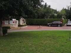 -静之湖湖畔餐厅