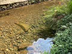 -宁波五龙潭景区