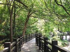 -白马涧龙池景区