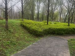 -洋湖国家湿地公园