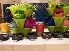 -杭州钱江新城万怡酒店-西餐厅