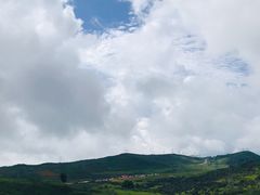 -夏雨路轩特色餐厅·十年经营