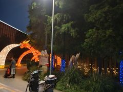 -上海长兴岛郊野公园