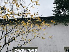 -拙政园