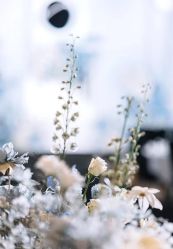 -琥珀婚礼策划AMBER WEDDING