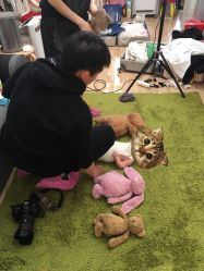 -DeerFriend童趣主题上门拍·到家·外拍摄影机构 (国贸店)