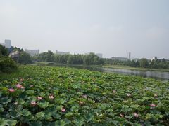 -江南大学(蠡湖校区)