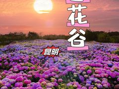 -名花谷生态庄园