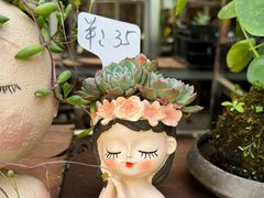 -桂林市花鸟市场