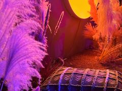 -ohbar live house(人广店)