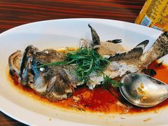 -湛江民大喜来登酒店-采悦轩中餐厅